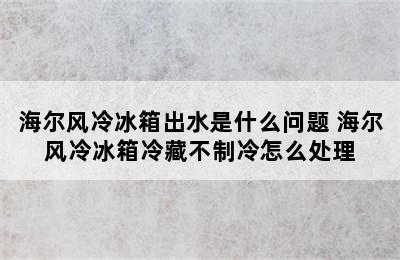 海尔风冷冰箱出水是什么问题 海尔风冷冰箱冷藏不制冷怎么处理